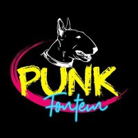 PUNKFONTEIN (@punkfontein) 's Twitter Profile