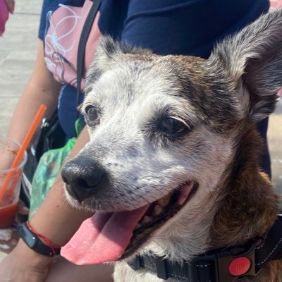 lepai07's profile picture. 