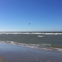R Grif (@rgrif6) 's Twitter Profile