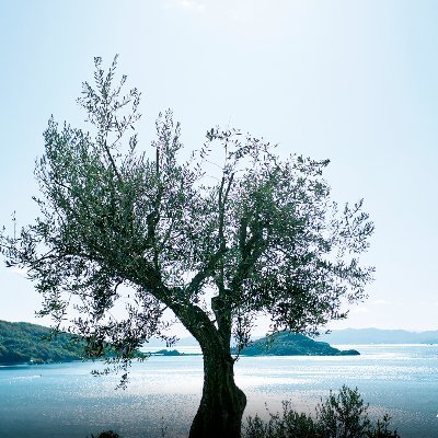 recliningdragon's profile picture. You got this! / Liking: Tennis / Major: Value-added analysis