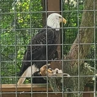 BCMSR182's profile picture. Moto and Money