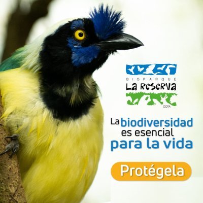 La Fundacion Bioparque La Reserva creada para generar y transmitir conocimiento sobre conservacion, uso sostenible y bienestar animal.