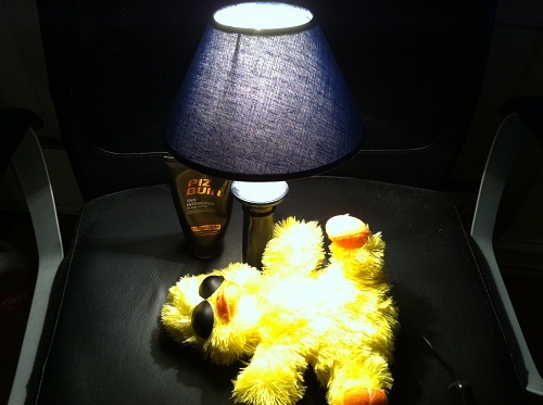 sunshineidol's profile picture. Just chillin'