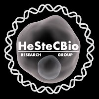 Giorgetti Lab (@hestecbio) 's Twitter Profile