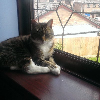 StellaStrongman's profile picture. 