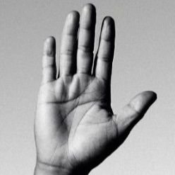 springfield_ggg's profile picture. もっと近くで届けたいサンキュー‼️‼️‼️