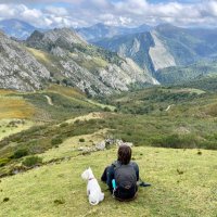 María Juncal (@sharangee) 's Twitter Profile