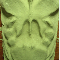 jelle kapitein (@jvandeknijp) 's Twitter Profile