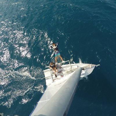 Research Software Engineer, Atmospheric Chemist, Theoretical Physicist, and occasional misanthrope.
Inst: @dan.ellis.adventure