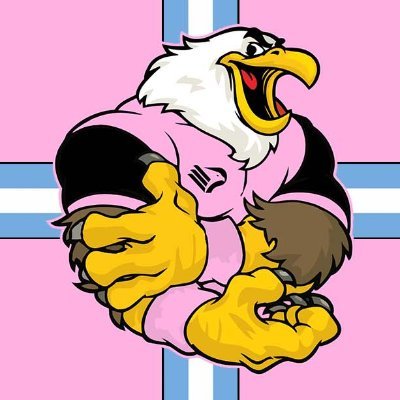 Palermo F.C. - Tanti auguri #Palermo 💗🖤