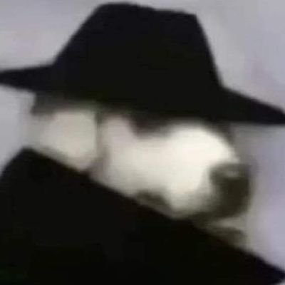 pingu0000000's profile picture. 