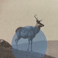 まちる(🪄&👸🏻&🦌) (@m91n58) 's Twitter Profile