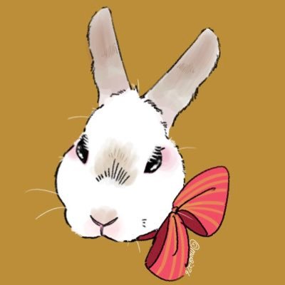 ミニウサギのムギ♂といいます。2017年8月27日生まれ10月10日お迎え。よろしくね、ムギ。 name of rabbit is Mugi🐰無断転載禁止 イラストは当分絵日記しか描きません。小物販売はsuzuriにて⬇︎⬇︎