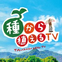 「種から植えるTV」毎週日曜お昼11時30分【テレビ東京公式】 (@taneue70403) 's Twitter Profile Photo 「種から植えるTV」毎週日曜お昼11時30分【テレビ東京公式】 (@taneue70403) 's Twitter Profile Photo