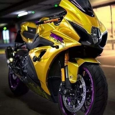 Alejand56985933's profile picture. feliz