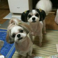 潤 翔 (@junsyoakemi) 's Twitter Profile Photo 潤 翔 (@junsyoakemi) 's Twitter Profile Photo