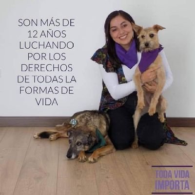 Fundadora de la Fundación Salva.
 Médico veterinario de Corazón - Animalista #TodaVidaImporta #ElCambioEsConSumercé