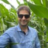 marcelobrito87's profile picture. Diretor Administrativo e Financeiro da KPS Agropecuária, com a missão de “Produzir alimentos, carnes e fibras para o mundo”.