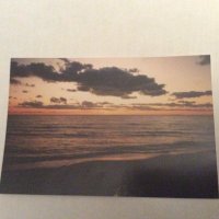 Terylajones (@terylajones1) 's Twitter Profile