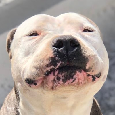 CJCP23's profile picture. 