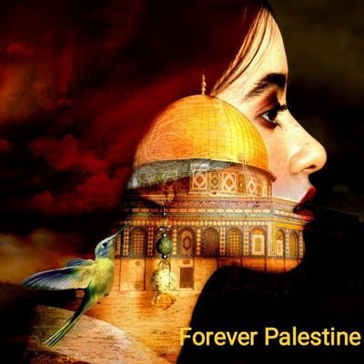 “ Your mind is powerful. When you fill it with positive thoughts your whole world will change.”
#ForeverPalestine 🇵🇸
II No Dm ⛔ II