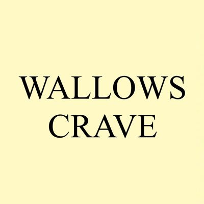 wallows charts and updates! content is not ours, owners please dm for removal. (FAN RUN, not impersonating or affiliated with wallows)