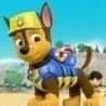 Chase is a German Shepherd is a police dog from the Paw Patrol, Chase protects And serves adveture bay & Enjoys doing other things outside of his job.