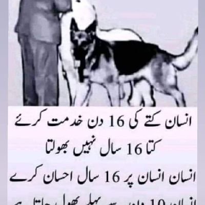 AhsanKh62583329's profile picture. 