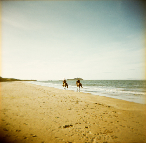 AmelRais's profile picture. gym trainer on newyork,activist on health organization