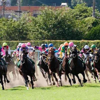 WIN5とトリプル馬単がメイン。買い目をそのまま公開するスタイル。儲けてこそ競馬。一緒に儲けましょう！得意👉JRAﾀﾞ-ﾄ、大井、船橋。 https://t.co/Q0zVID5oAt