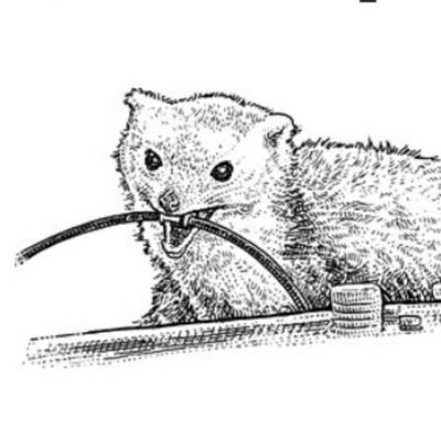 THISISNTMYHOUSE's profile picture. serene