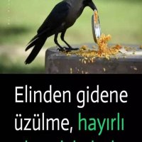 Abdul Akar (@z9kom) Twitter profile photo