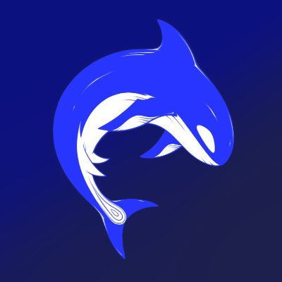 BlucaNft Profile Picture