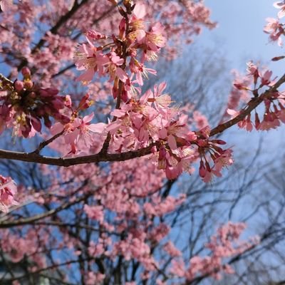 20代ぼっちOL☺️練馬区中村橋に移転🏠もうすぐリニューアルOPEN☕心がホカホカする温かさを届けたい✨