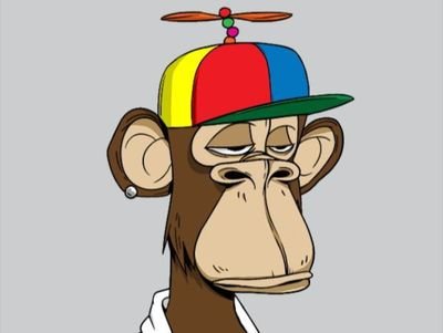 shaquil92883174's profile picture. College Student | crypto investor | just one dream to earn money 😍