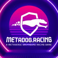 metaraceworld (@metaraceworld) Twitter profile photo