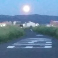 (@tsuyan0724) 's Twitter Profile