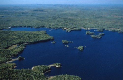 Peaston's profile picture. 