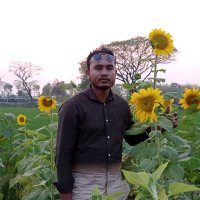md.munna sarkar (@mdmunnasarkar3) 's Twitter Profile