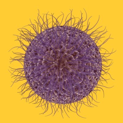 AntonBernolak's profile picture. Let the world feel the kindness of the Crypto world