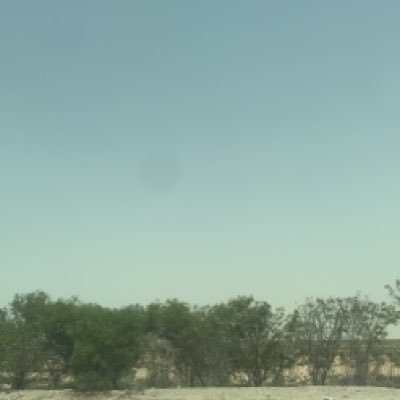 xqwertyuiopl's profile picture. 