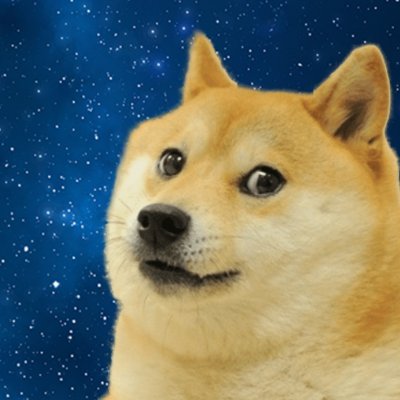 DogeConvoy Profile Picture