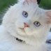 Leyla Karabacak (@leylaka46935036) Twitter profile photo Leyla Karabacak (@leylaka46935036) Twitter profile photo
