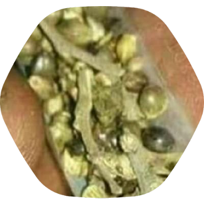 dickinapeach's profile picture. pussy money weed 🤤
I inventedn NF-Tea