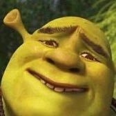 afidsi's profile picture. follow me and i’ll follow you☺️