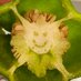 ã¢ã³ãŒã€ã«ã ã¹ (@loomgreen) Twitter profile photo ã¢ã³ãŒã€ã«ã ã¹ (@loomgreen) Twitter profile photo
