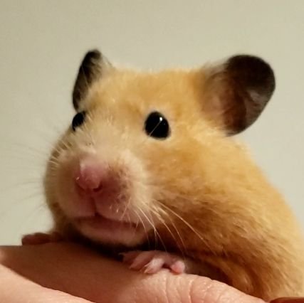 hello my name is ばぶたん                                       
スカイラインとはサヨナラバイバイしました