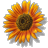 SBotanical's profile image