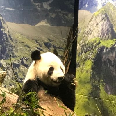 XDeydfT0GlFQU1a's profile picture. ユノ応援垢を作りました❣️【無言でフォローされるかた。お手数ですがご自身のフォロワーの中のフォロワーをチェック、ブロックしてからお願いします。変なかたがあなたをフォローしています。多いかたはブロックさせて頂きます】