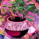 Cameron Cain - @D0C_OBvious - Twitter